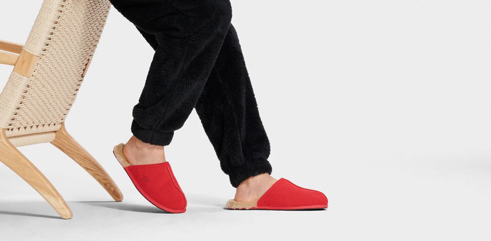 Ugg Slipper Mens - Ugg Scuff Red - 912HWZJAB